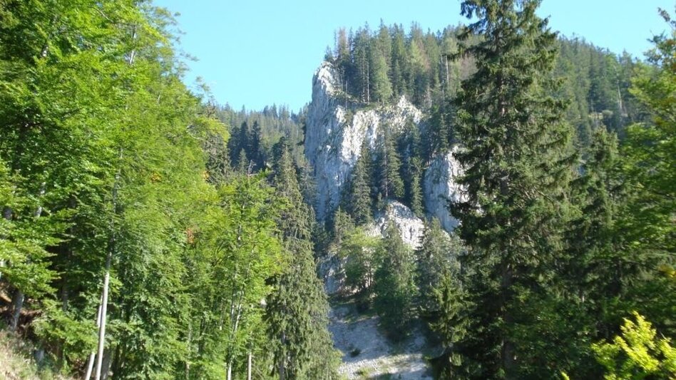 Bergtour Schwärzerweg/Raffelgraben - Touren-Impression #2.1 | © Gesäuse - Palfau