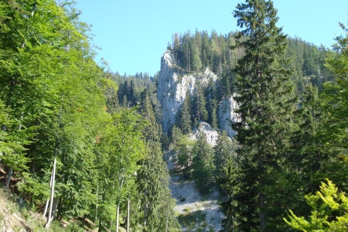 Bergtour Schwärzerweg/Raffelgraben - Touren-Impression #1 | © Gesäuse - Palfau