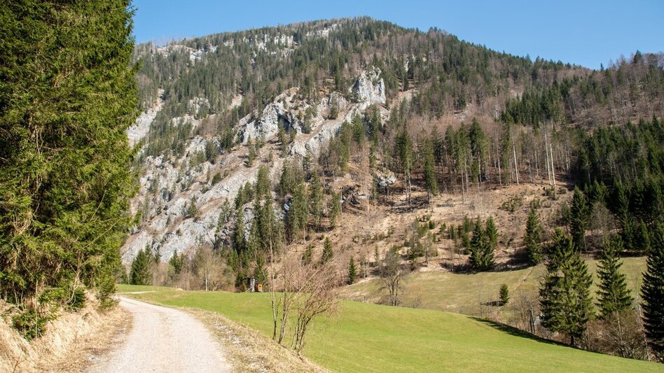 Bergtour Schwärzerweg/Raffelgraben - Touren-Impression #2.5 | © TV Gesäuse