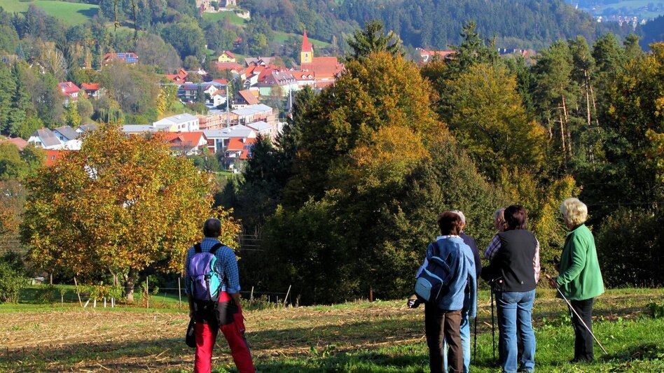 Hiking Route Sch(m)ankerlweg - Ligister delicacies trail - Touren-Impression #2.1 | © TVB Ligist