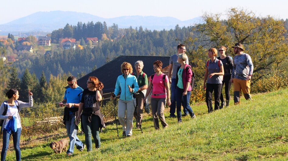 Hiking Route Sch(m)ankerlweg - Ligister delicacies trail - Touren-Impression #2.4 | © TV Ligist