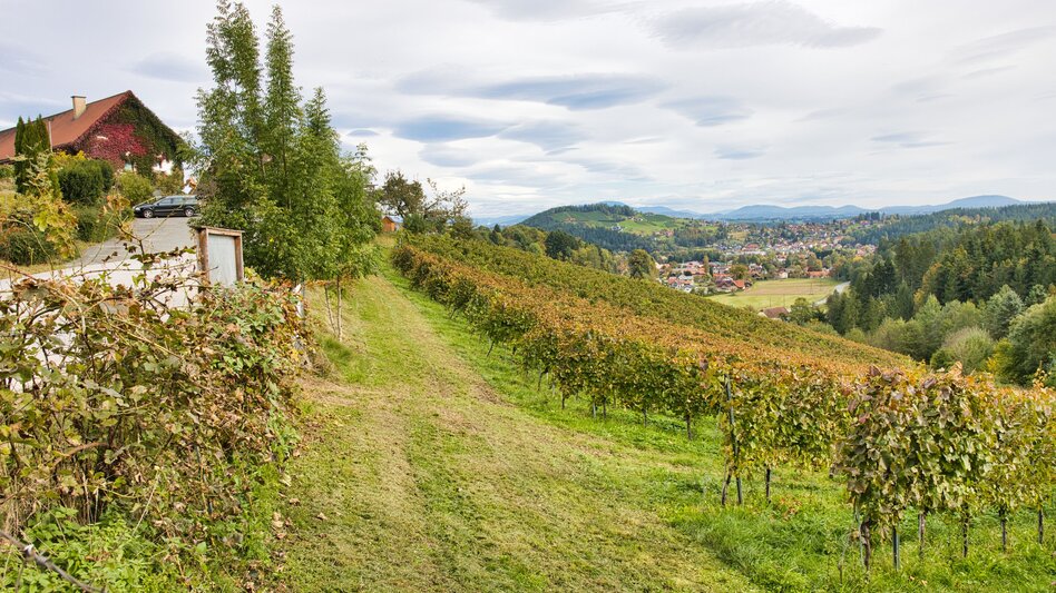 Wanderung Ligister Schmankerlweg - Touren-Impression #2.2 | © Region Graz