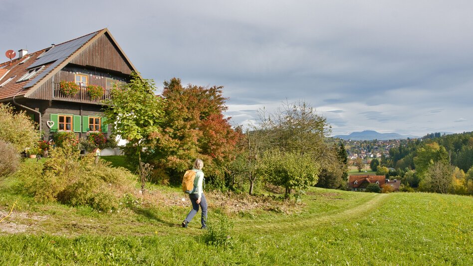 Wanderung Ligister Schmankerlweg - Touren-Impression #2.4 | © Region Graz