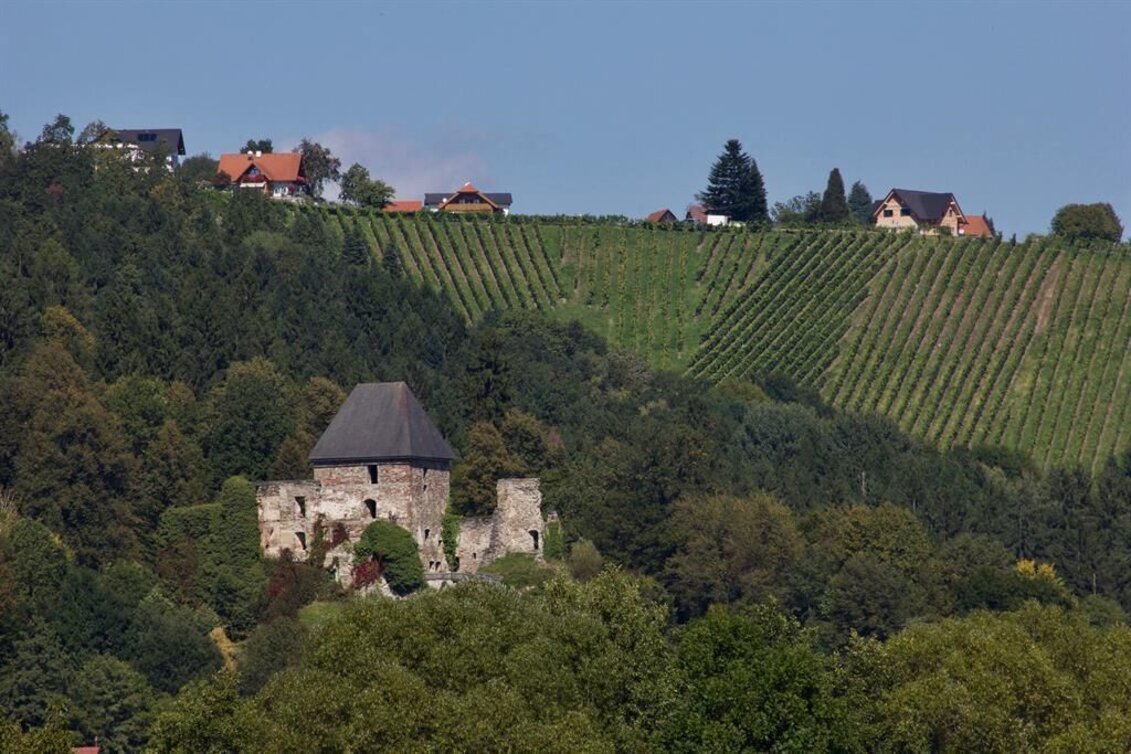 Hiking Route Ligister Vogelstimmenweg - Touren-Impression #1 | © TV Ligist