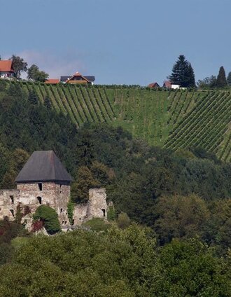 Blick auf die Burgruine Ligist | Rainer M. Fürstaller | © TV Ligist