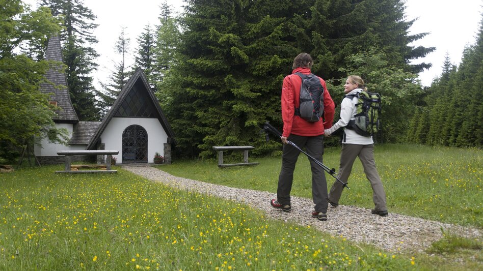 Wanderung Etappe 01 Mariazeller Weg Soboth - Eibiswald - Touren-Impression #2.6 | © Steiermark Tourismus