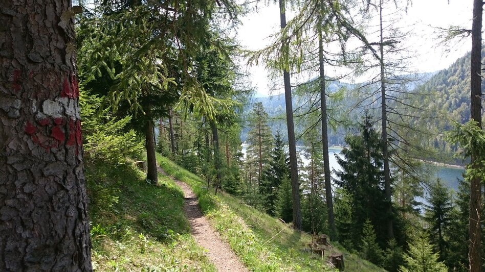 Wanderung Gemeindealpe - Touren-Impression #2.1 | © TV Hochsteiermark