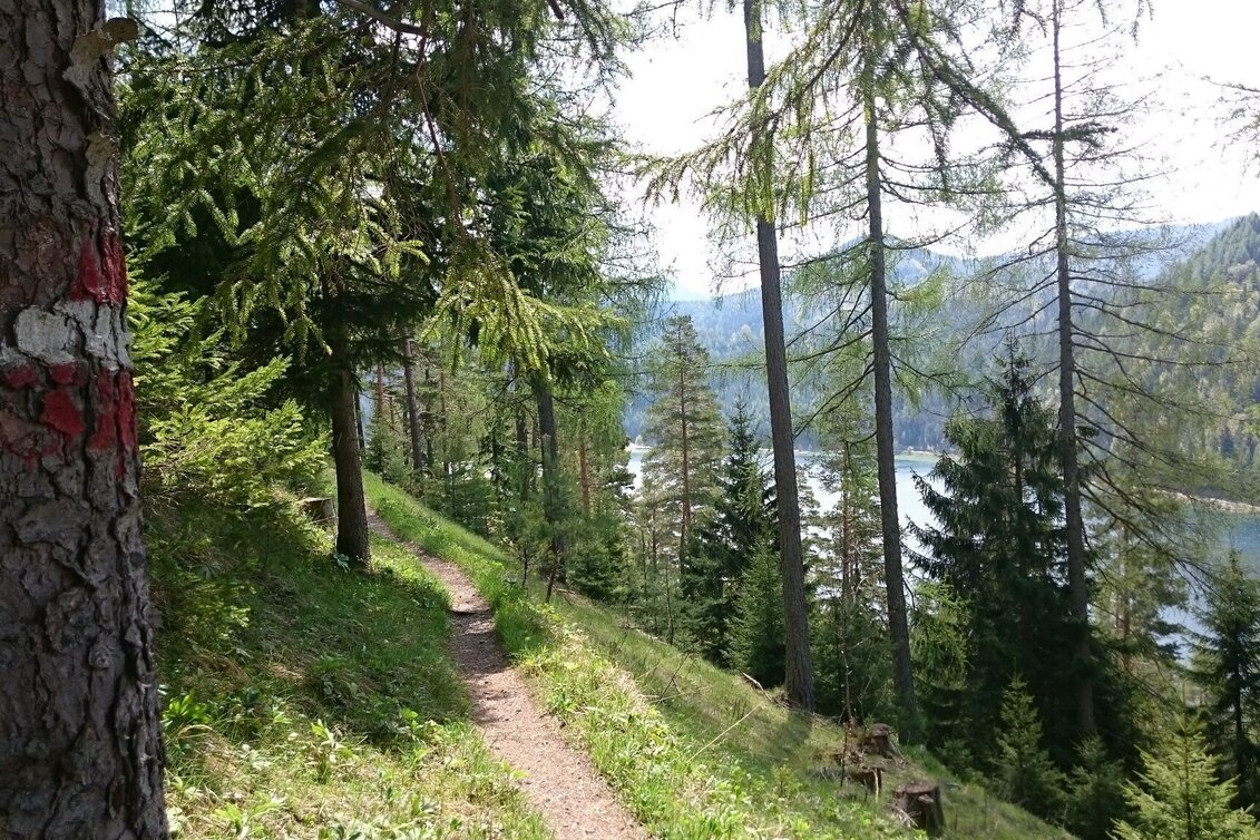 Wanderung Gemeindealpe - Touren-Impression #1 | © TV Hochsteiermark