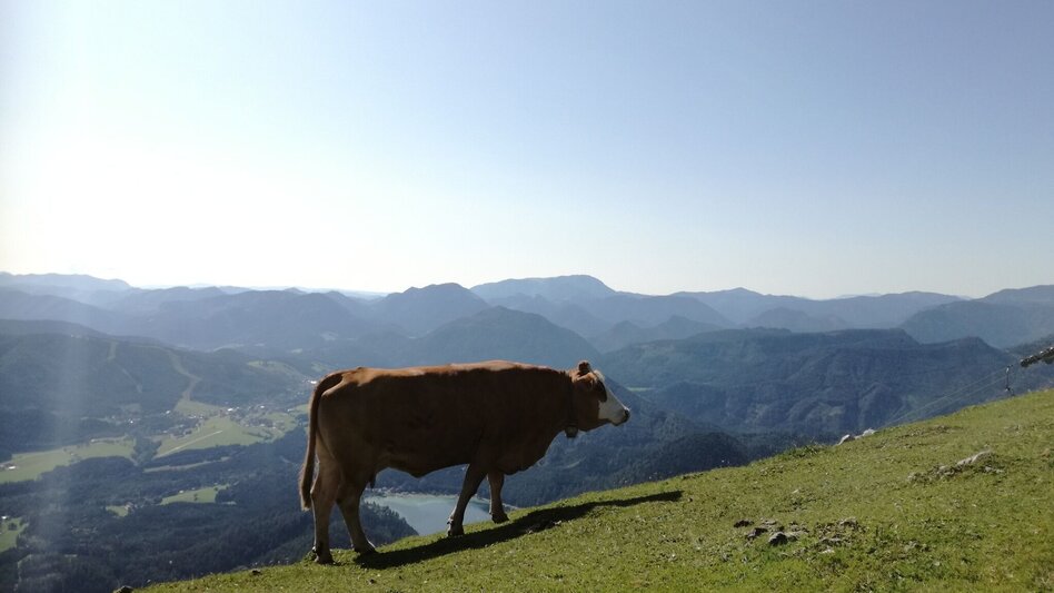 Wanderung Gemeindealpe - Touren-Impression #2.3 | © TV Hochsteiermark