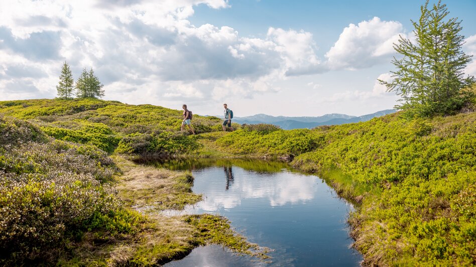 Wanderung Pleschnitzzinken - Touren-Impression #2.3 | © Erlebnisregion Schladming-Dachstein