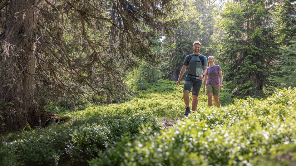 Wanderung Pleschnitzzinken - Touren-Impression #2.4 | © Erlebnisregion Schladming-Dachstein