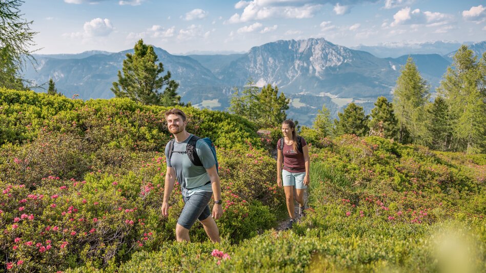 Wanderung Pleschnitzzinken - Touren-Impression #2.6 | © Erlebnisregion Schladming-Dachstein