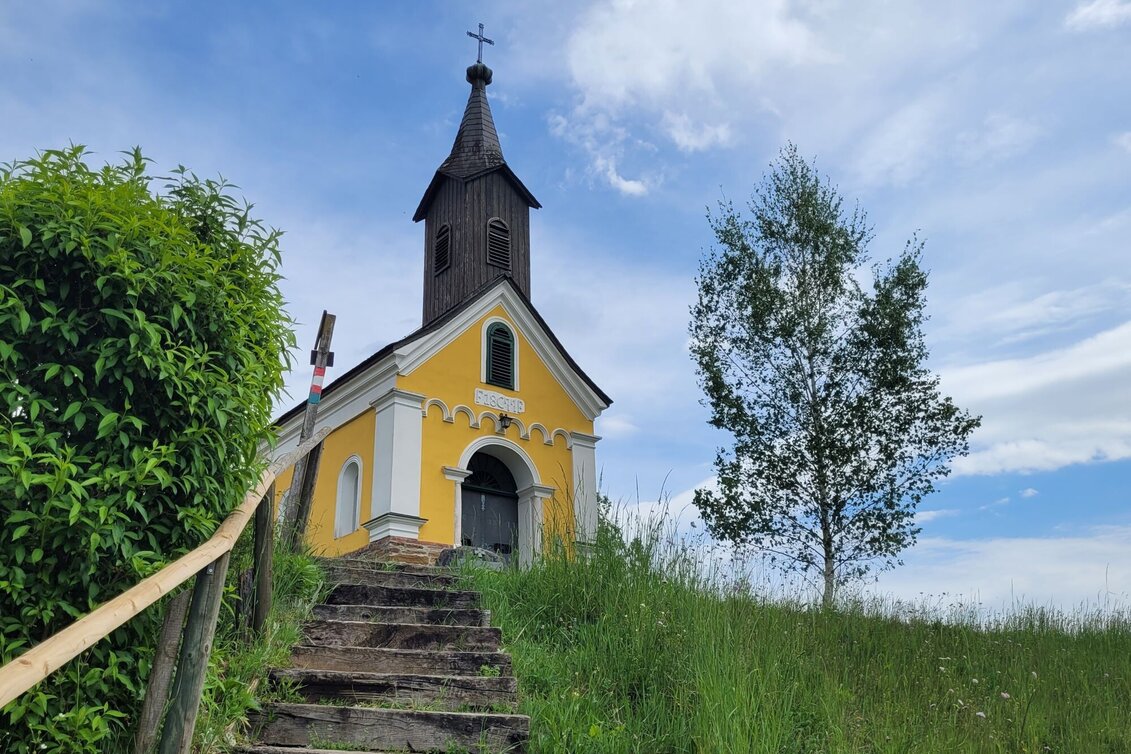 Wanderung Georgsberg Rundweg Nr. 15 - Touren-Impression #1 | © TVB Südsteiermark/Irene Löschnig