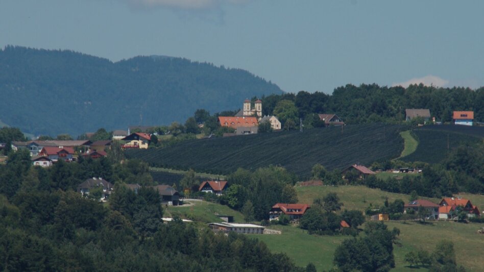 Wanderung Panoramaweg, St. Ruprecht/Raab - Touren-Impression #2.1 | © Oststeiermark Tourismus
