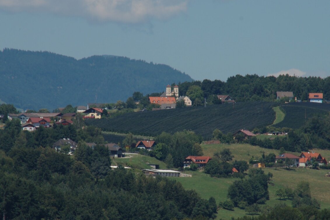 Wanderung Panoramaweg, St. Ruprecht/Raab - Touren-Impression #1 | © Oststeiermark Tourismus
