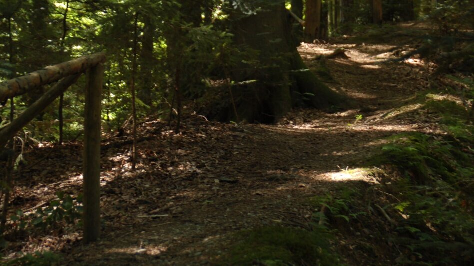 Wanderung Panoramaweg, St. Ruprecht/Raab - Touren-Impression #2.2 | © Oststeiermark Tourismus