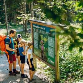 Information board on the environmental experience trail | © Erlebnisregion Schladming-Dachstein