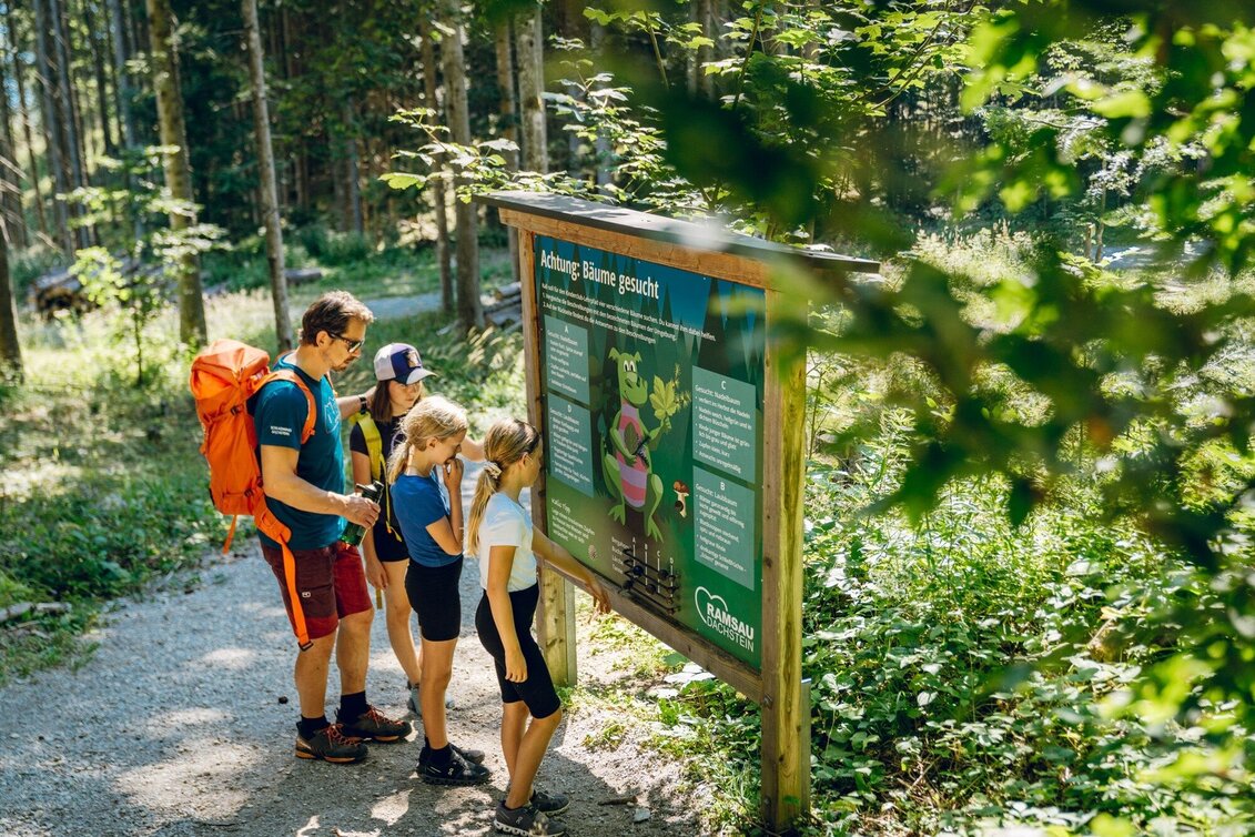 Wanderung Natur- und Umwelterlebnispfad - Touren-Impression #1 | © Erlebnisregion Schladming-Dachstein