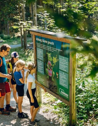 Infotafel am Umwelterlebnispfad | Christine Höflehner | © Erlebnisregion Schladming-Dachstein
