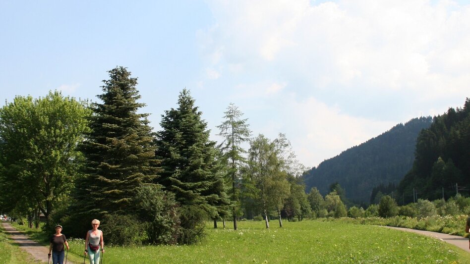 Hiking Route To Dürnstein Castle - Touren-Impression #2.1 | © Tourismusverband Murau