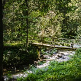 Brücke am Weg zur Lärchkaralm. | © Tourismusverband Grimming-Donnersbachtal