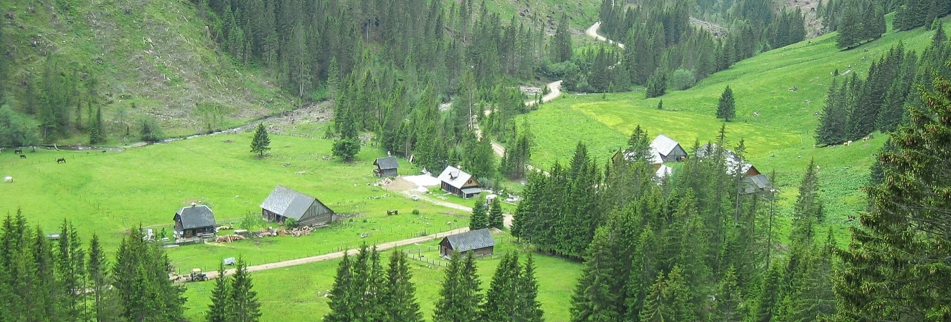 Wanderung Zur Lärchkar- und Stalla Alm - Touren-Impression #1 | © Erlebnisregion Schladming-Dachstein