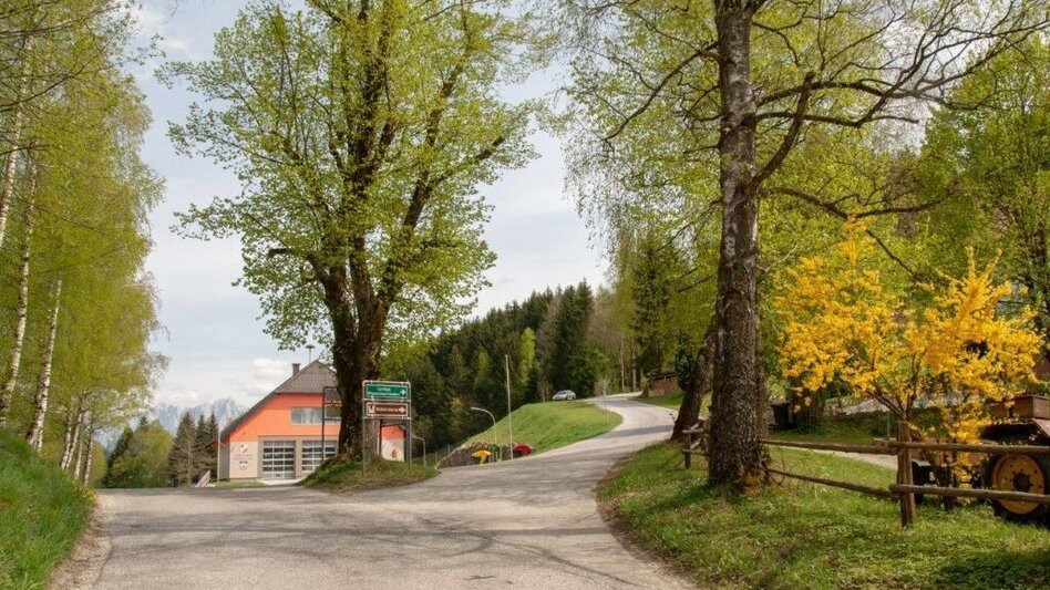 Wanderung Ardninger Höhenweg nach Frauenberg - Touren-Impression #2.10 | © TV Gesäuse