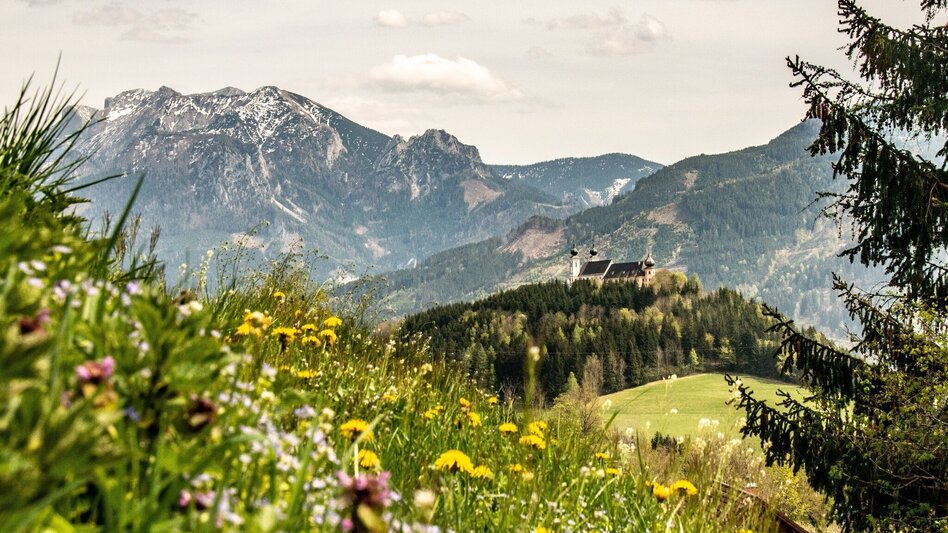 Wanderung Ardninger Höhenweg nach Frauenberg - Touren-Impression #2.14 | © TV Gesäuse