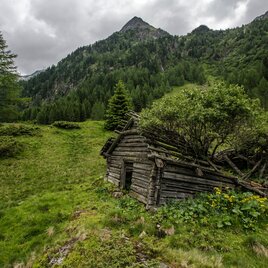 Die Natur holt sich Terrain zurück - Obere Holdalm | © Gerhard Pilz - www.gpic.at