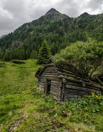 Die Natur holt sich Terrain zurück - Obere Holdalm | Gerhard Pilz | © Gerhard Pilz - www.gpic.at