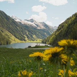 Riesachsee in spring | © Erlebnisregion Schladming-Dachstein
