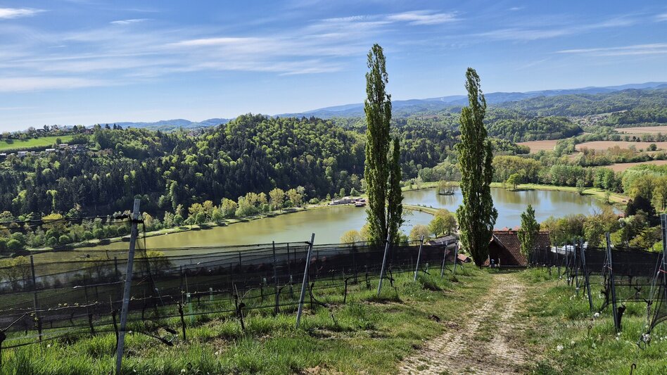 Hiking Route Heimschuher Round North No. 4 - Touren-Impression #2.2