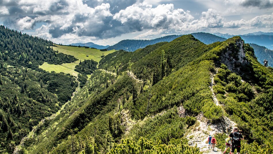 Bergtour Große Kaiserau-Gipfelrunde - Touren-Impression #2.11 | © TV Gesäuse