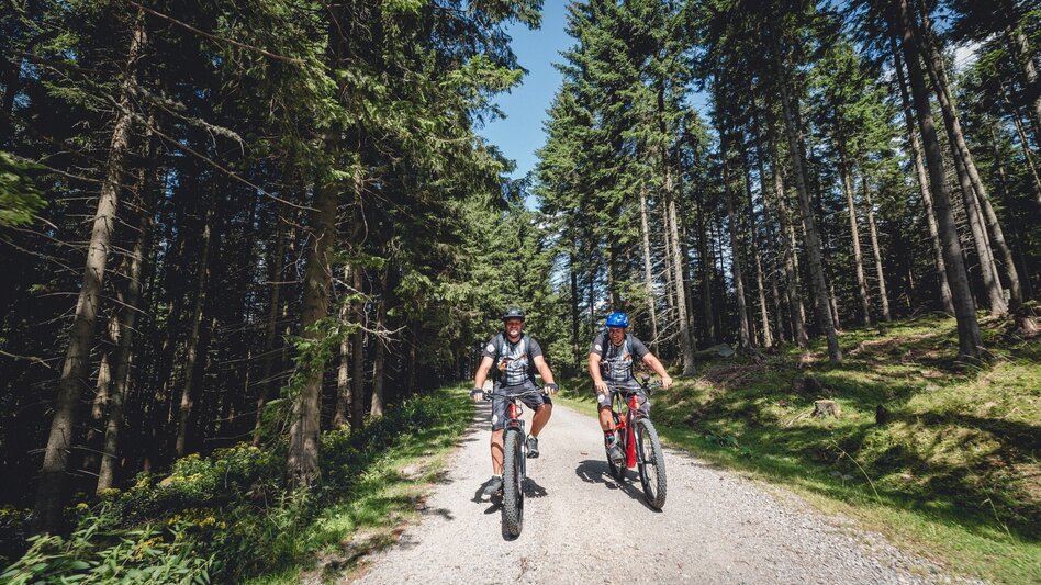 Mountainbike Mountainbikestrecke Malleistenalm - Touren-Impression #2.1 | © Tourismusverband Hochsteiermark
