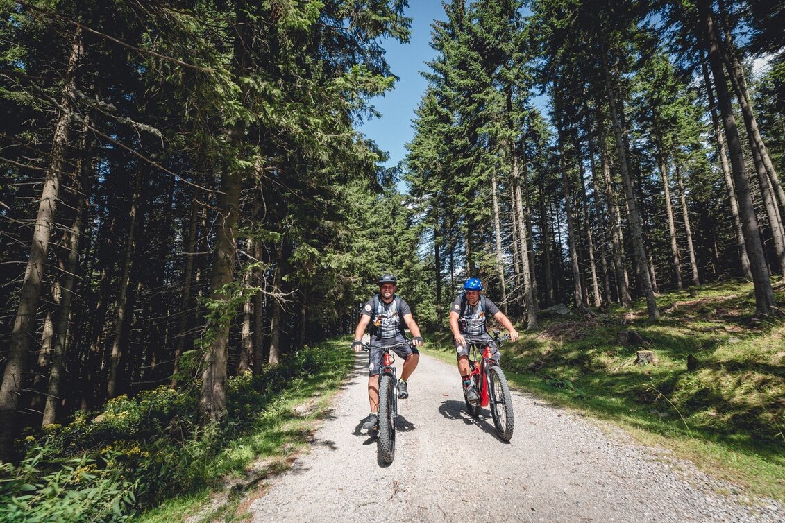 Mountainbike Mountainbikestrecke Malleistenalm - Touren-Impression #1 | © Tourismusverband Hochsteiermark