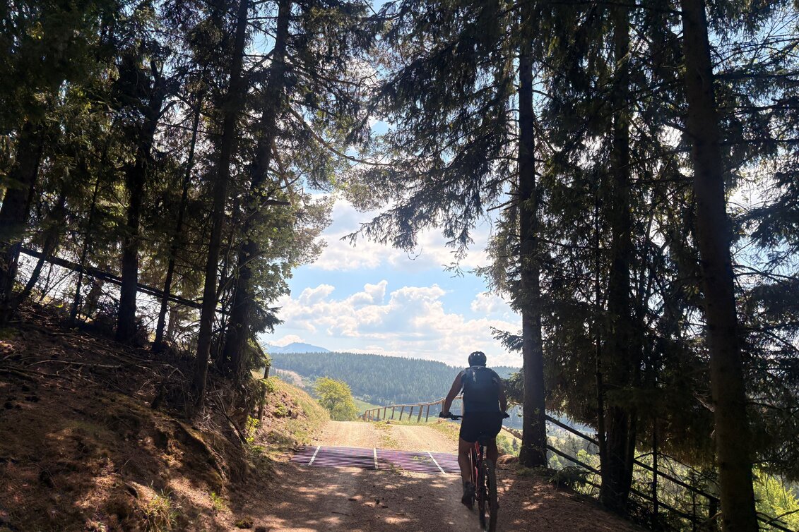 Mountainbike Tollinghöhe MTB LN 7 - Touren-Impression #1 | © TVB Erzberg-Leoben
