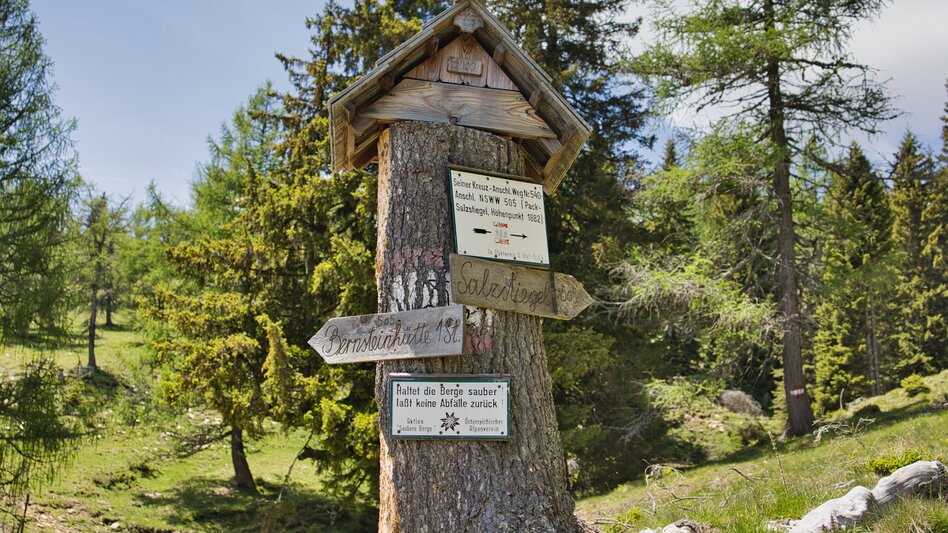 Wanderung Vom Salzstiegl nach Hirschegg über den Peterer Riegel - Touren-Impression #2.9 | © Region Graz