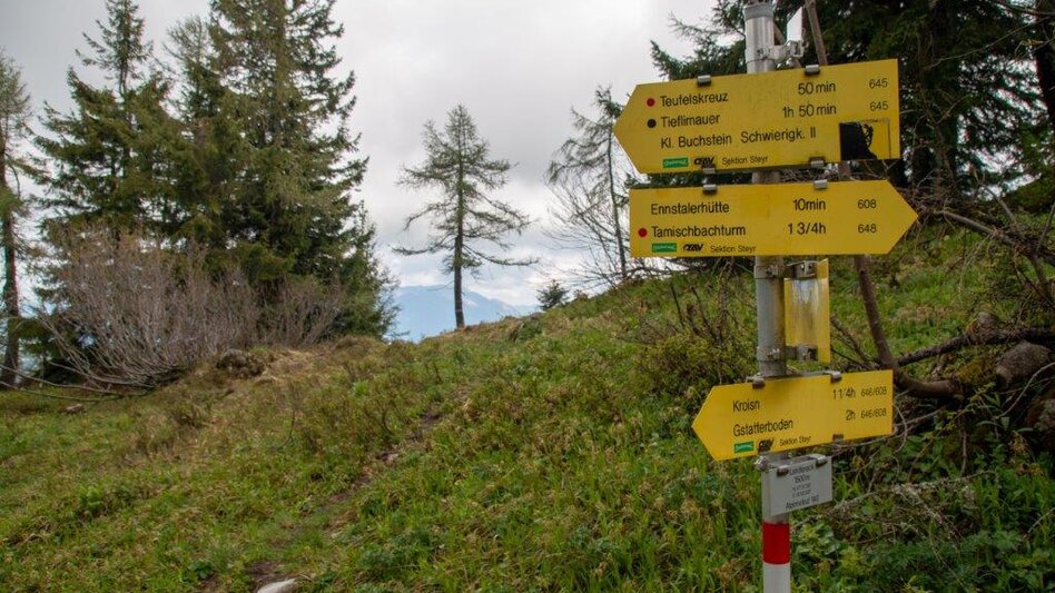 Bergtour Hocherb/ Mühlbach - Ennstalerhütte - Touren-Impression #2.6 | © TV Gesäuse