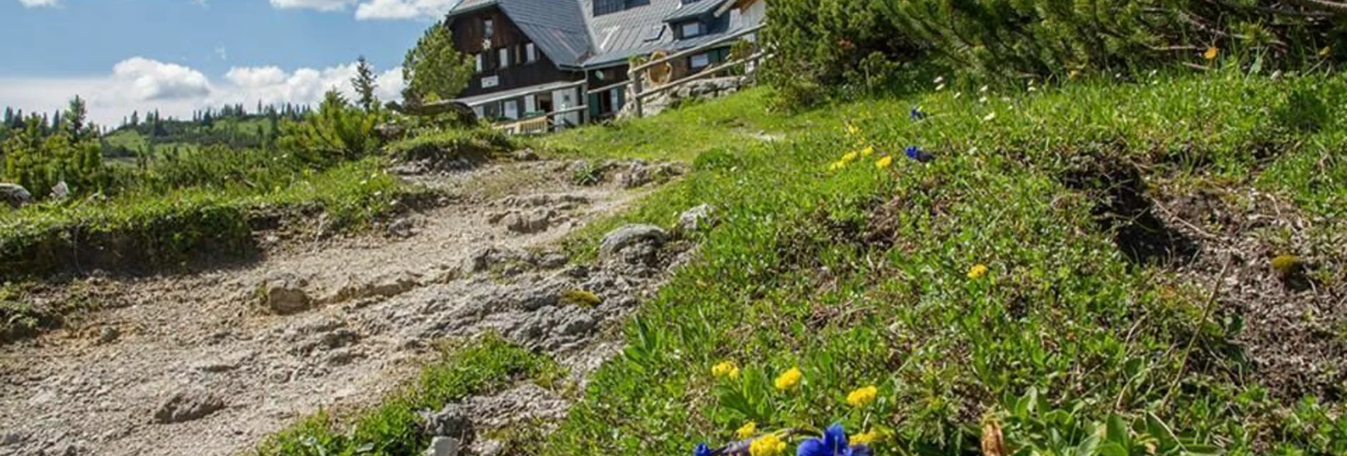 Wanderung Sonnschienalm von Wildalpen - Touren-Impression #1 | © Werner Maurer / Facebookgruppe Alpenregion Hochschwab 