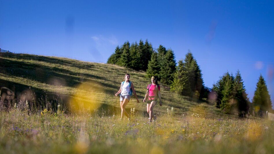 Wanderung Grebenzen Runde - Touren-Impression #2.3 | © Tourismusverband Murau