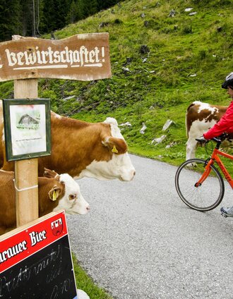 Unterwegs Richtung Murau | Gerhard Eisenschink | © Steiermark Tourismus
