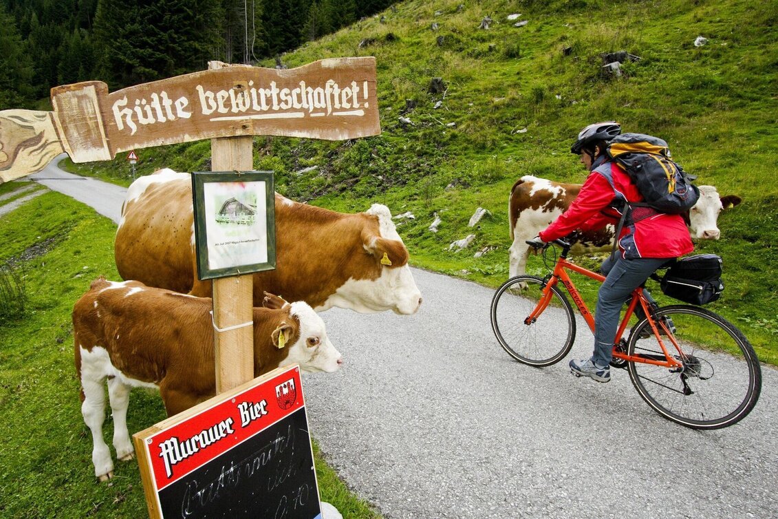 Radfahren Etappe 02 Murradweg St. Michael im Lungau - Murau - Touren-Impression #1 | © Steiermark Tourismus