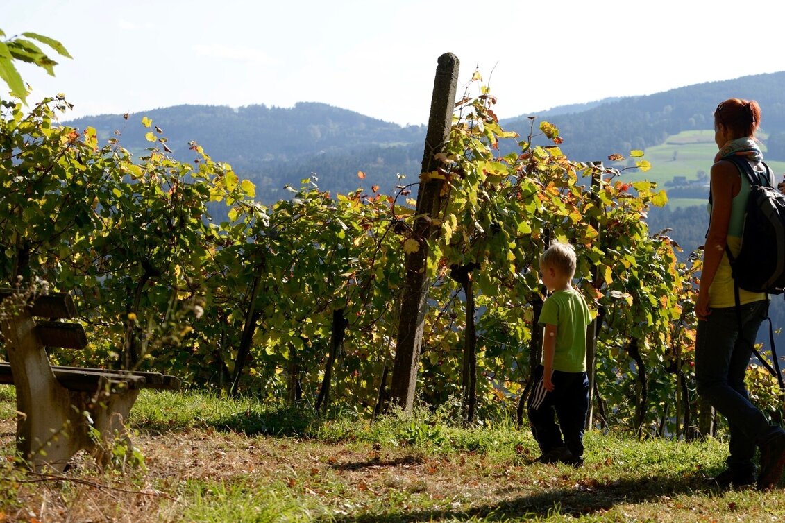 Wanderung Keltenweg kurz - Touren-Impression #1 | © TV Ligist