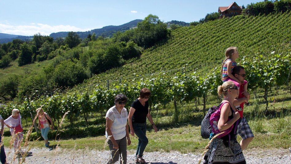 Hiking Route Keltenweg kurz - Touren-Impression #2.3 | © TV Ligist
