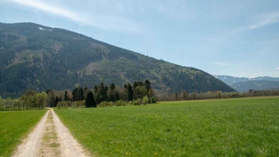 Promenade Route Pürgschachen Moor Circuit - Touren-Impression #2.3 | © TV Gesäuse
