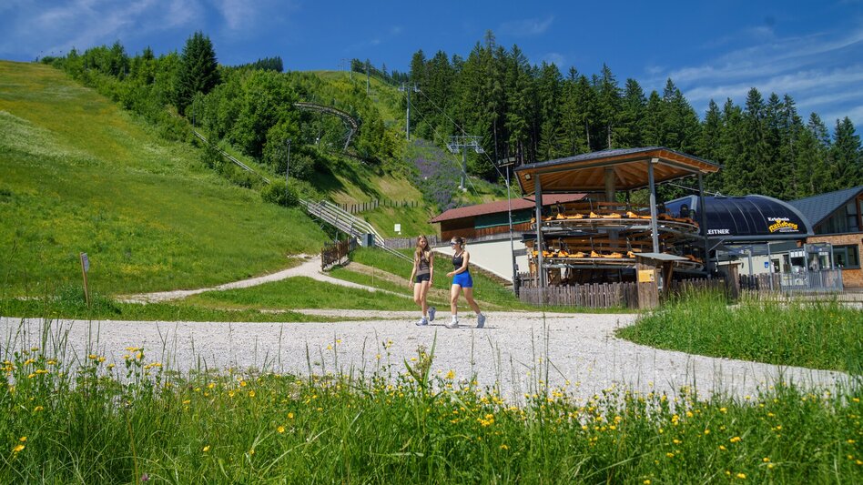 Wanderung Panorama Allee Ramsau West - Touren-Impression #2.8 | © Christine Höflehner