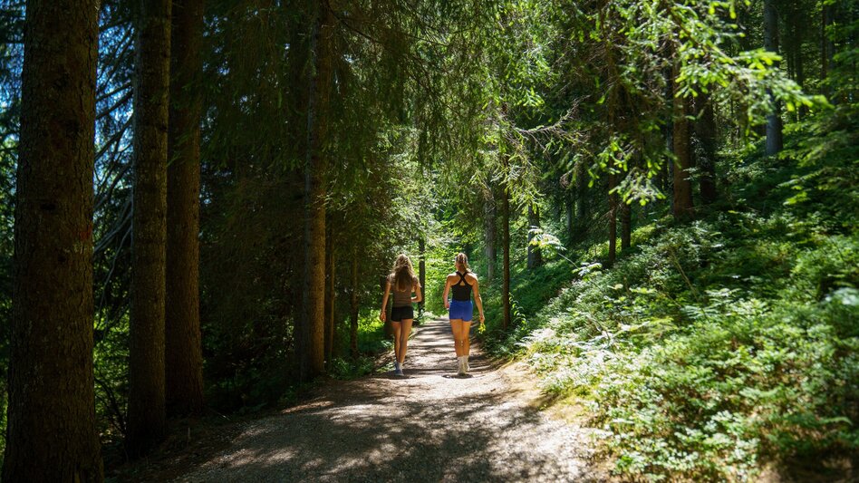 Wanderung Panorama Allee Ramsau West - Touren-Impression #2.9 | © Christine Höflehner