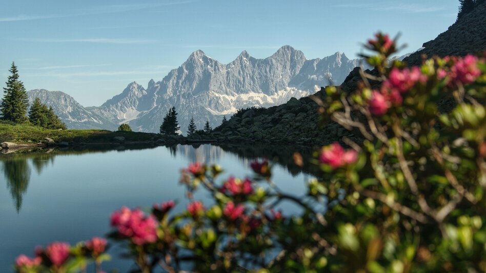 Wanderung Von der Reiteralm zum Spiegelsee - Touren-Impression #2.3 | © Erlebnisregion Schladming-Dachstein