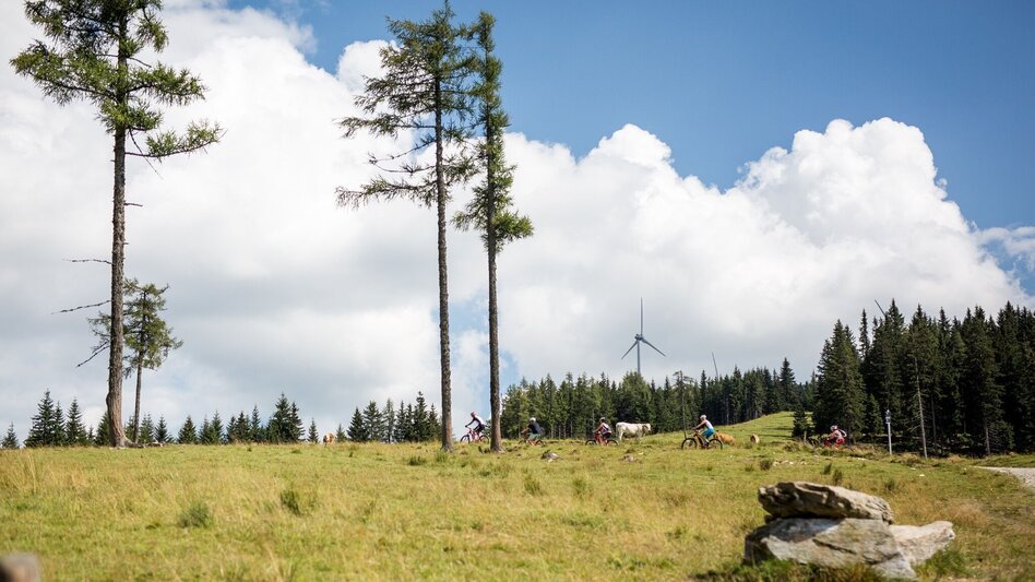 Wanderung Pretul - der Panoramaberg vor den Toren Mürzzuschlags - Touren-Impression #2.3 | © TV Hochsteiermark