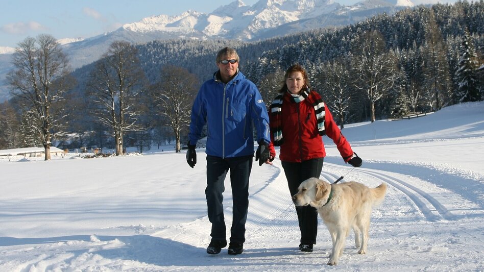 Winterwandern Lärchenweg - Touren-Impression #2.1 | © Erlebnisregion Schladming-Dachstein